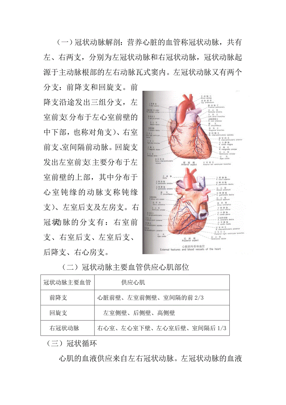 心脏的解剖结构及生理(含彩图)_第4页