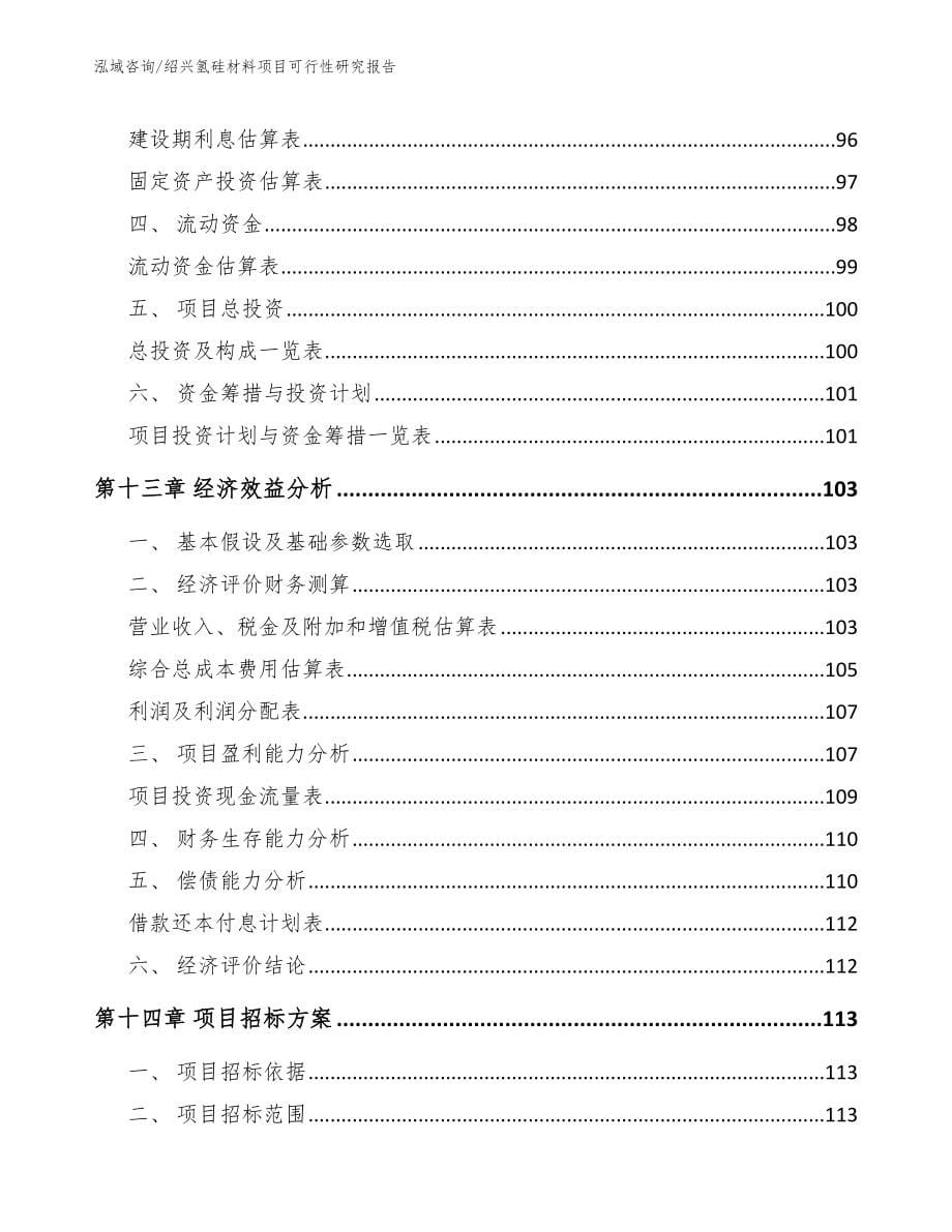 绍兴氢硅材料项目可行性研究报告【模板范本】_第5页