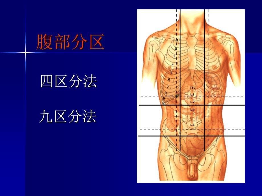 腹部查体讲义课件_第5页