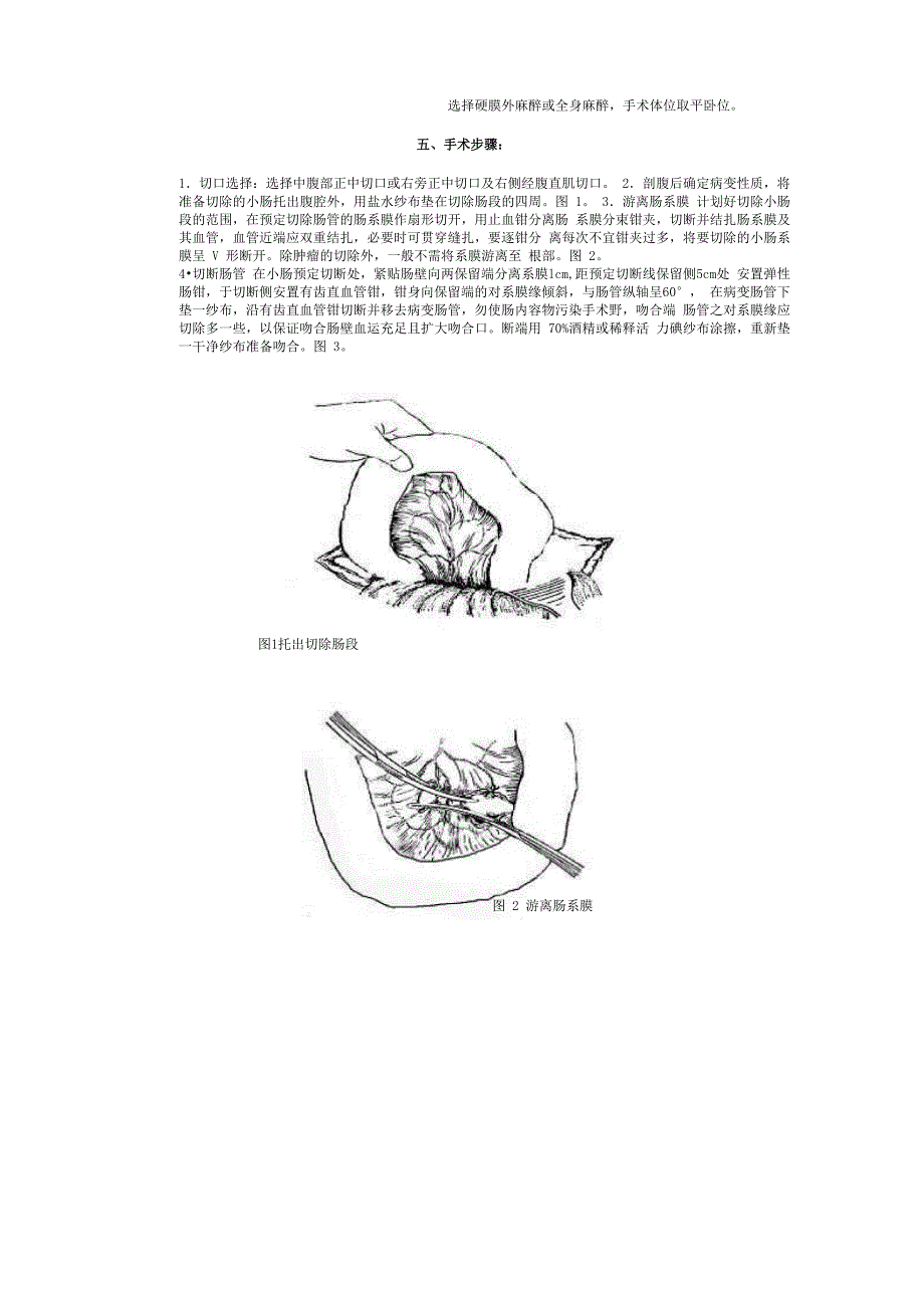 动物肠切除肠吻合术_第2页
