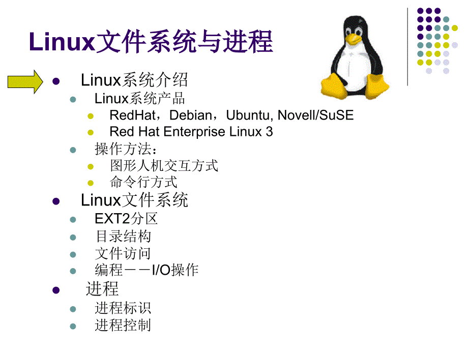 最新1Linux文件系统与进程PPT精品课件_第1页