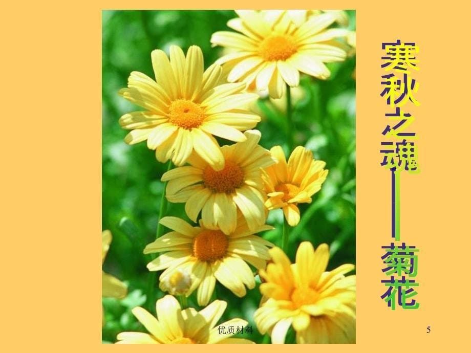 植物的开花和结果PPT#高等教育_第5页