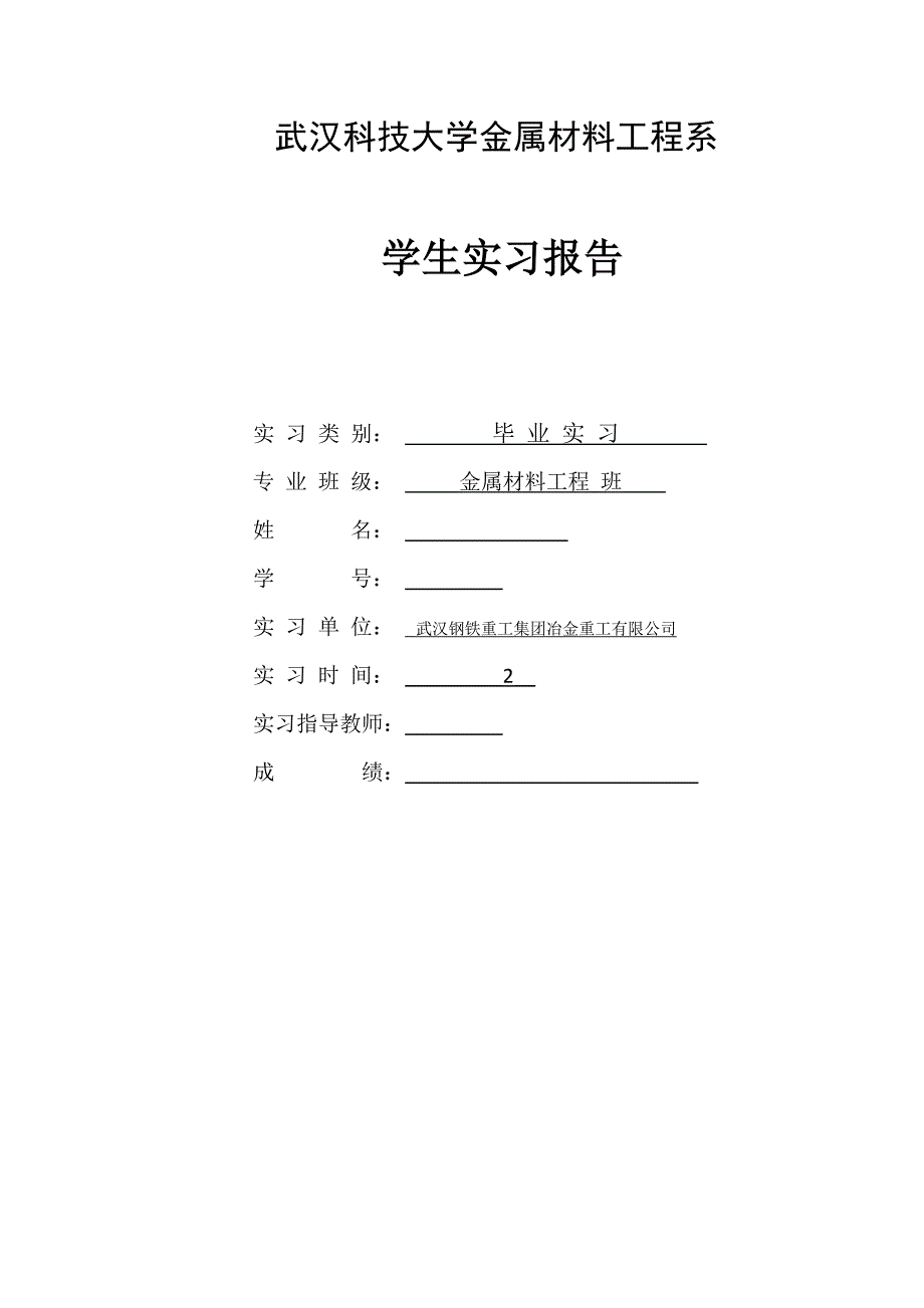 武汉钢铁重工集团冶金重工实习报告_第1页