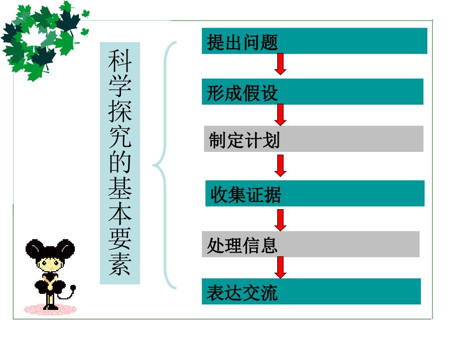 上海科学会考(科学学业水平考试)总复习资料【全】资料教学文案_第3页