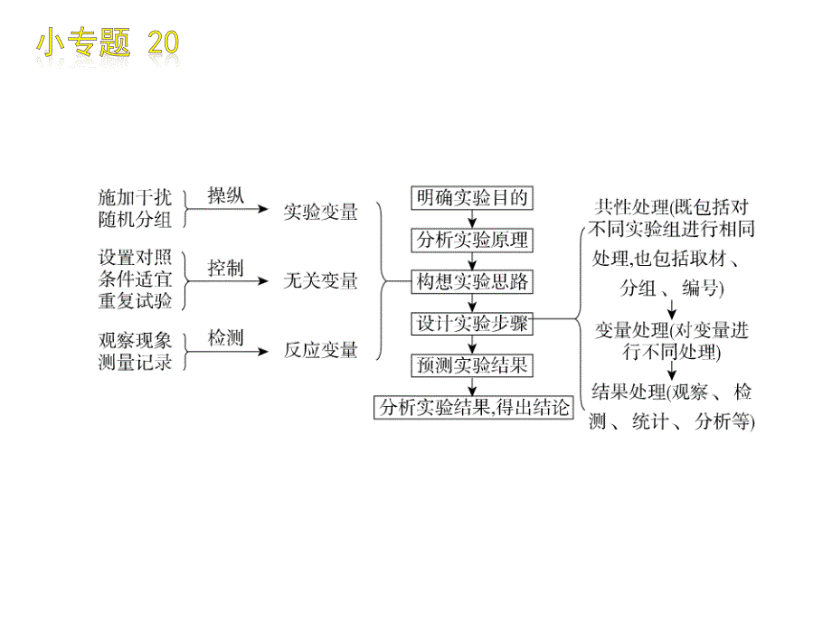 2010届高三生物实验题题型.ppt_第3页