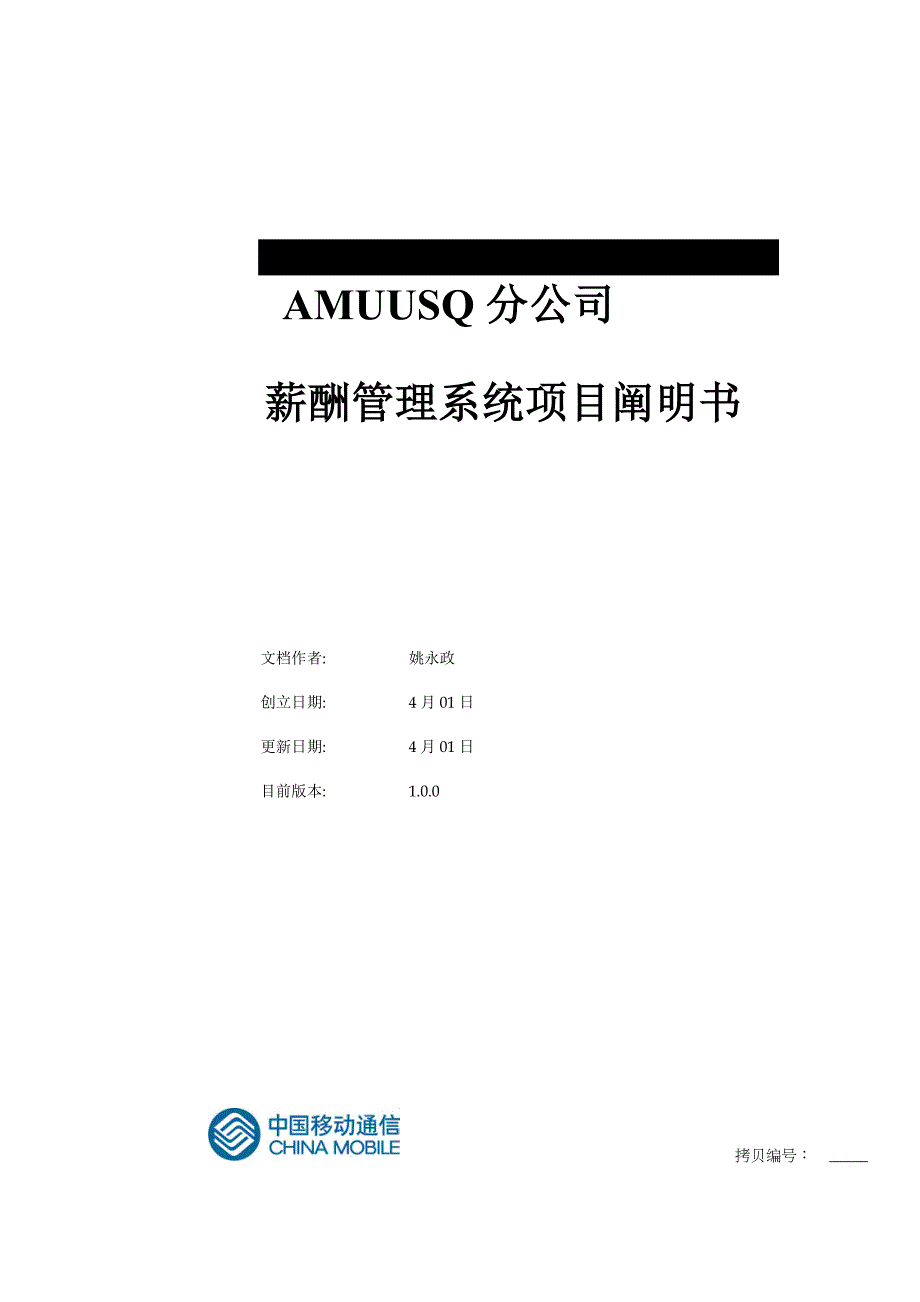 公司薪酬基础管理系统专项项目专项说明书_第1页