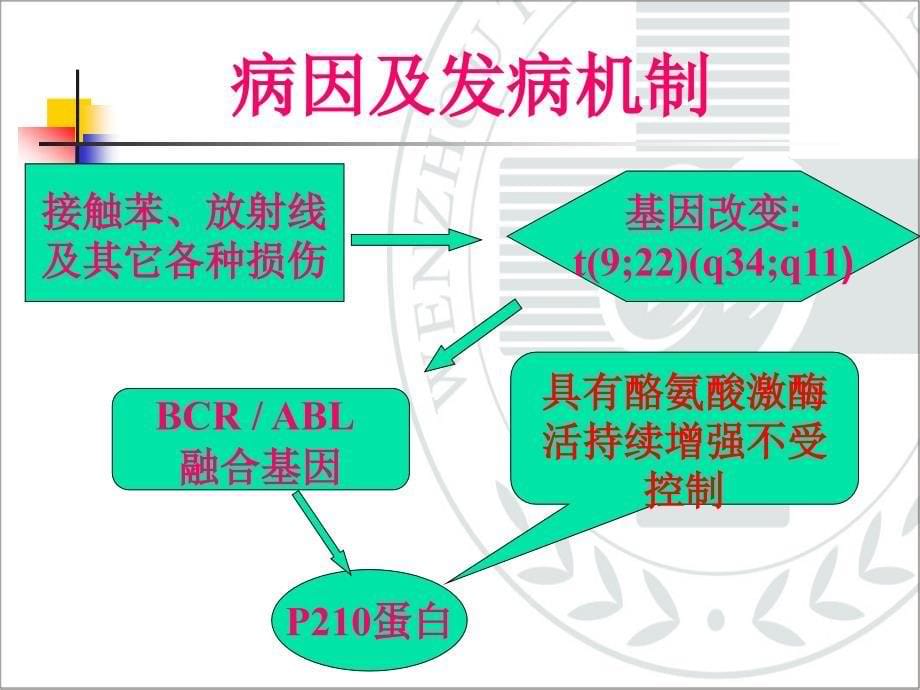 内科学课件：慢性髓细胞白血病_第5页