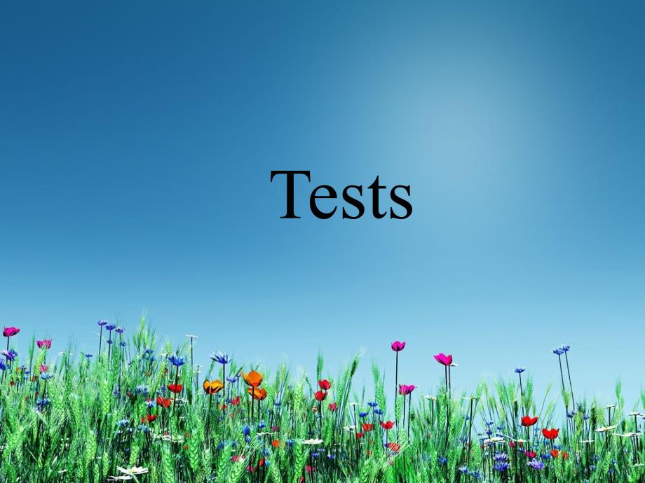 Unit1LanguageTesting课堂PPT_第1页