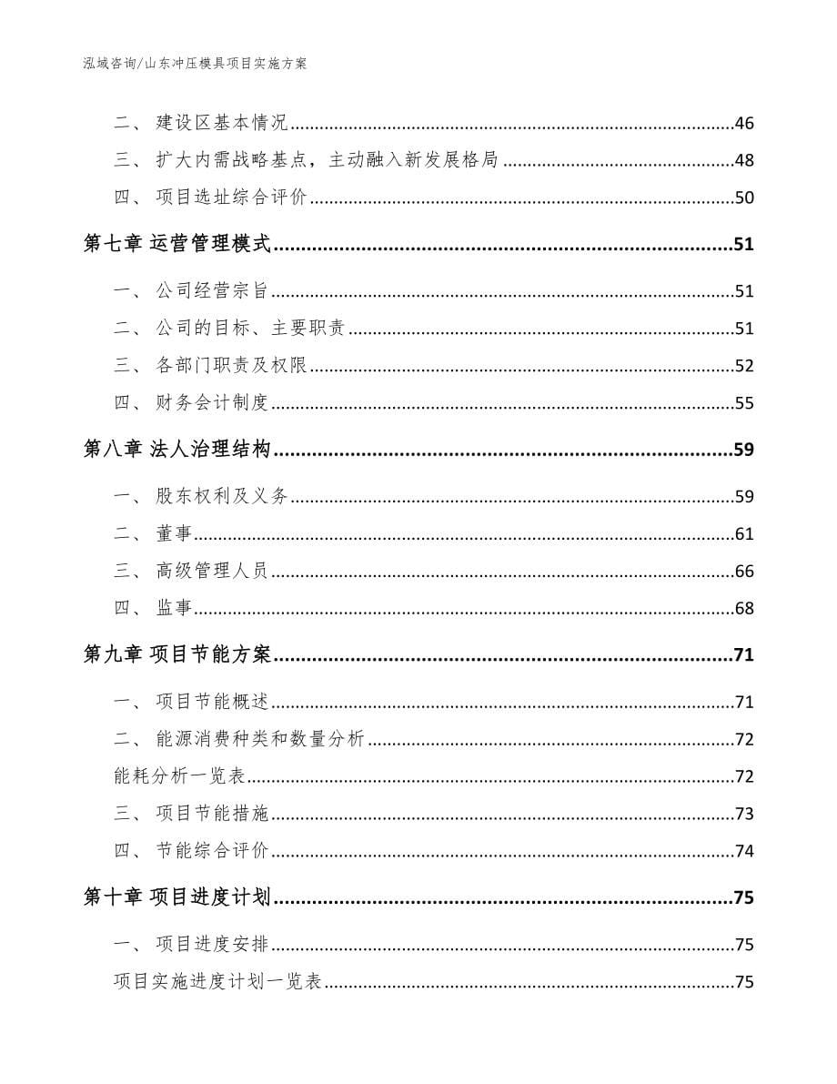 山东冲压模具项目实施方案_范文_第5页