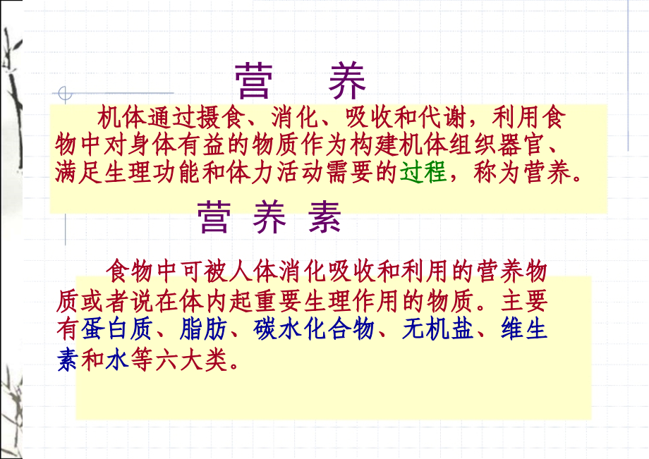 营养与健康-PPT课件_第2页