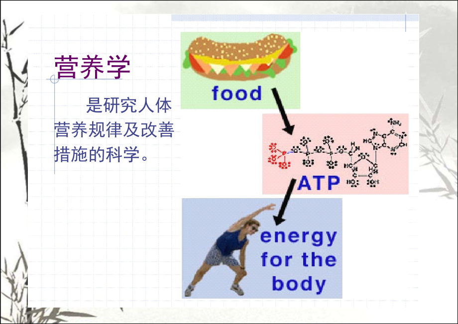 营养与健康-PPT课件_第3页