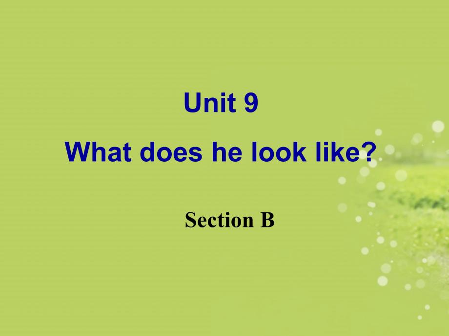 七年级英语下册《Unit9-What-does-he-look-like-Section-B》课件-(新版)人教新目标版_第2页