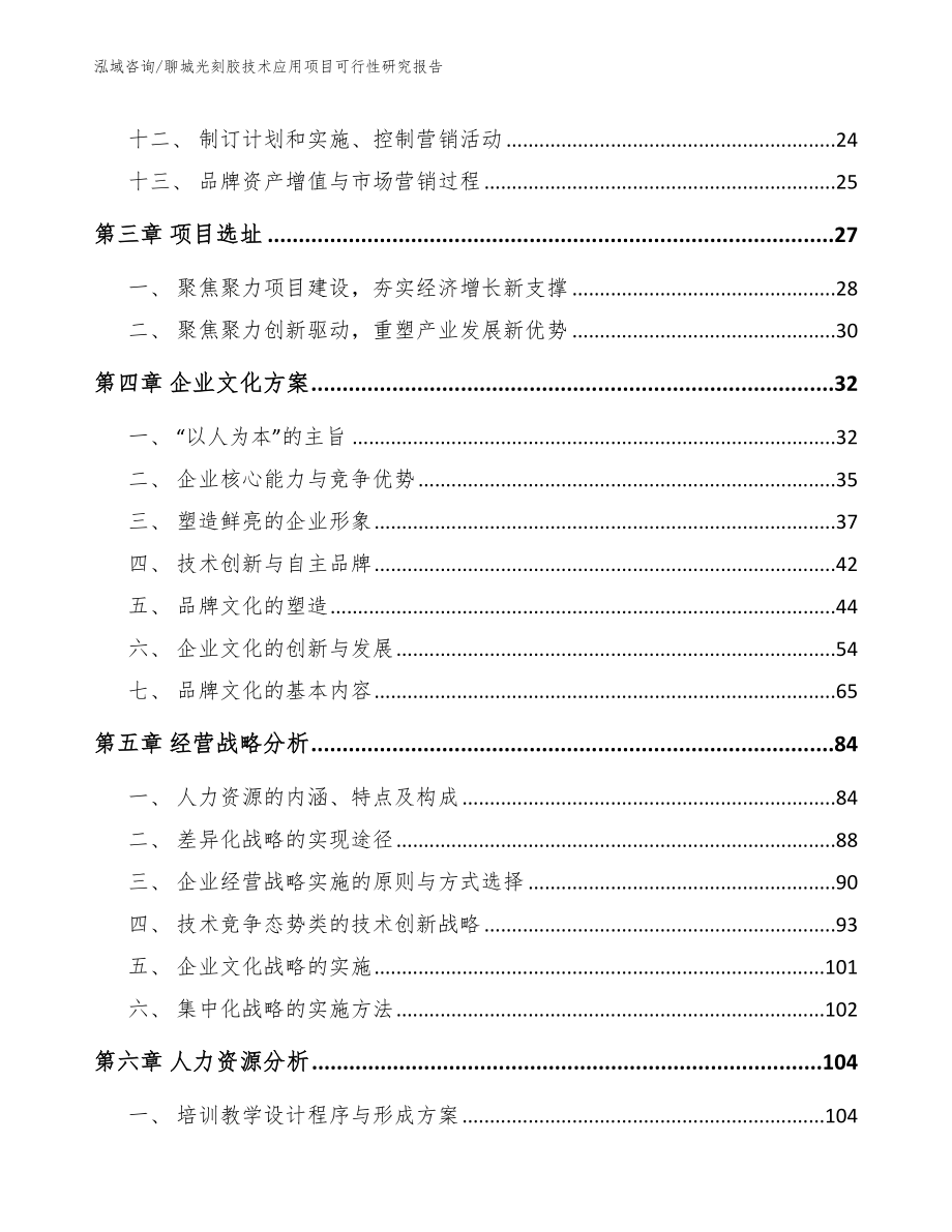 聊城光刻胶技术应用项目可行性研究报告范文参考_第2页