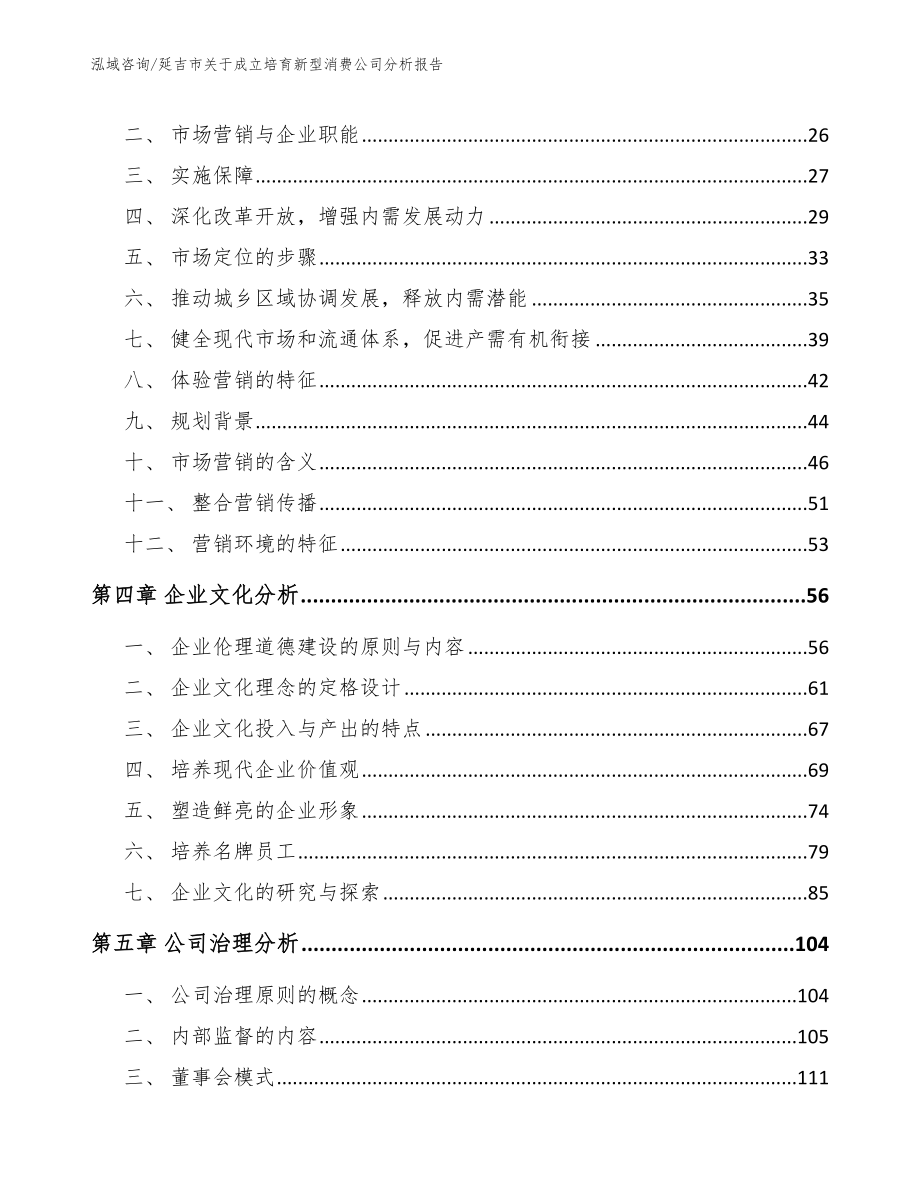 延吉市关于成立培育新型消费公司分析报告（参考模板）_第3页