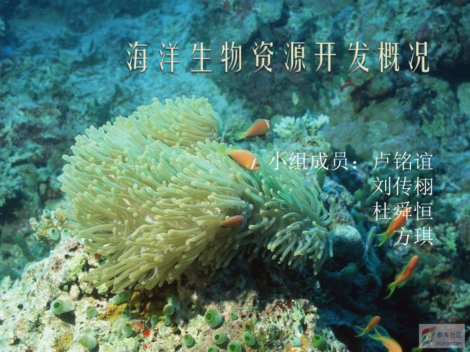 海洋生物资源发概况ppt课件_第1页