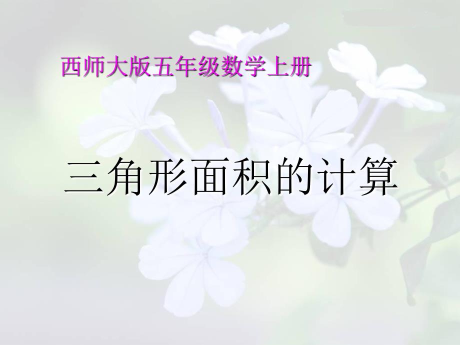 西师大版五年级上三角形面积的计算PPT课件之一教育资料_第1页