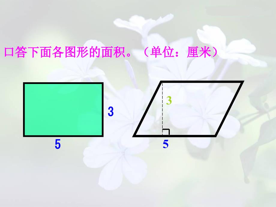 西师大版五年级上三角形面积的计算PPT课件之一教育资料_第2页