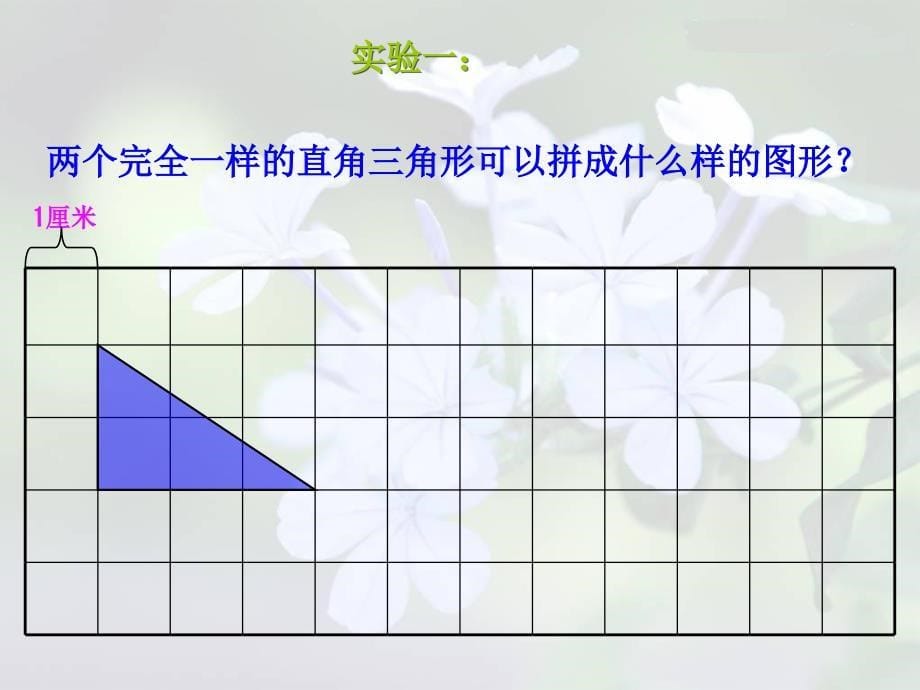 西师大版五年级上三角形面积的计算PPT课件之一教育资料_第5页