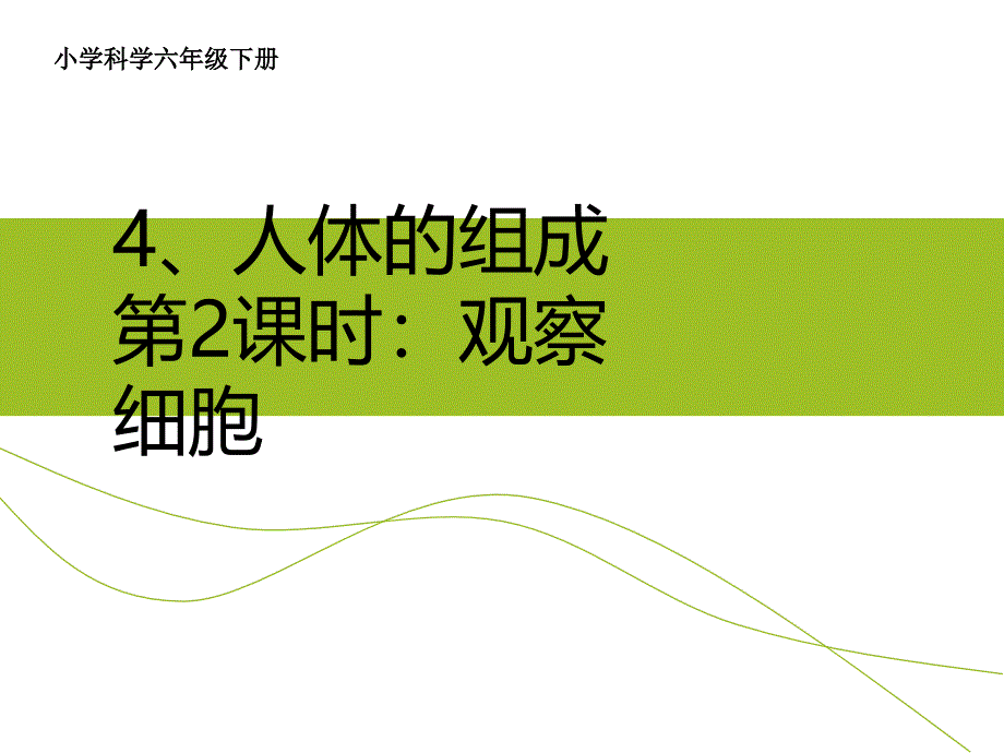 六年级科学下册课件4人体的组成10冀人版15张PPT_第1页