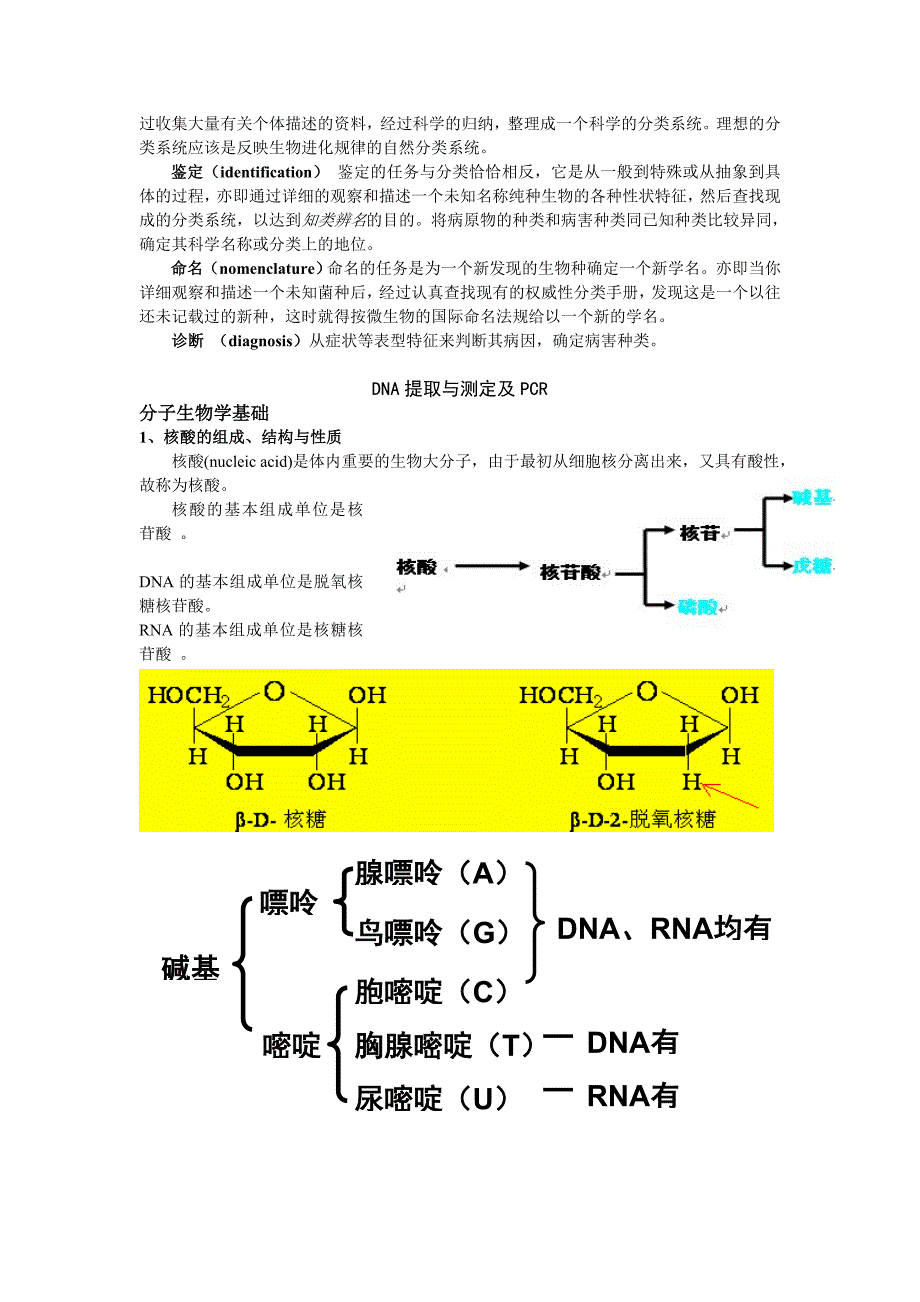 分子检验检测技术_第3页