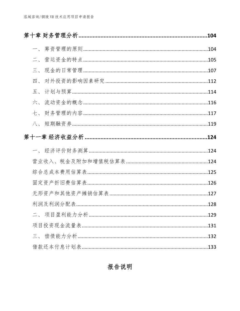 铜陵VR技术应用项目申请报告_第4页