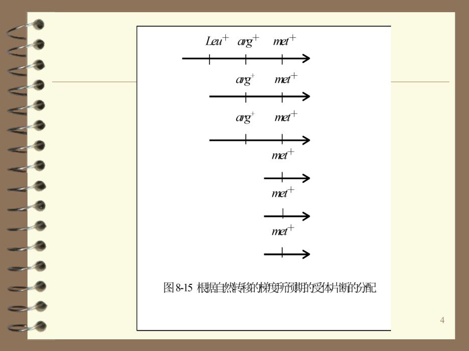 基因的结构和功能文档资料_第4页