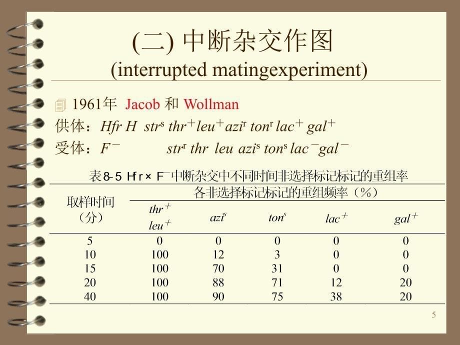 基因的结构和功能文档资料_第5页