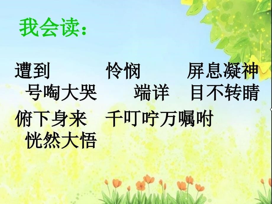 卡罗纳 (2)_第5页