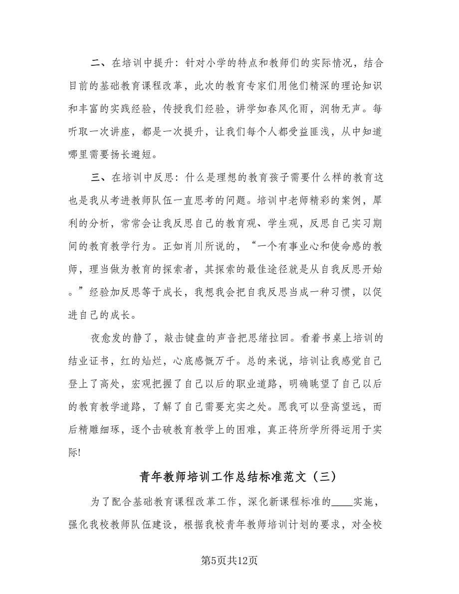 青年教师培训工作总结标准范文（5篇）.doc_第5页