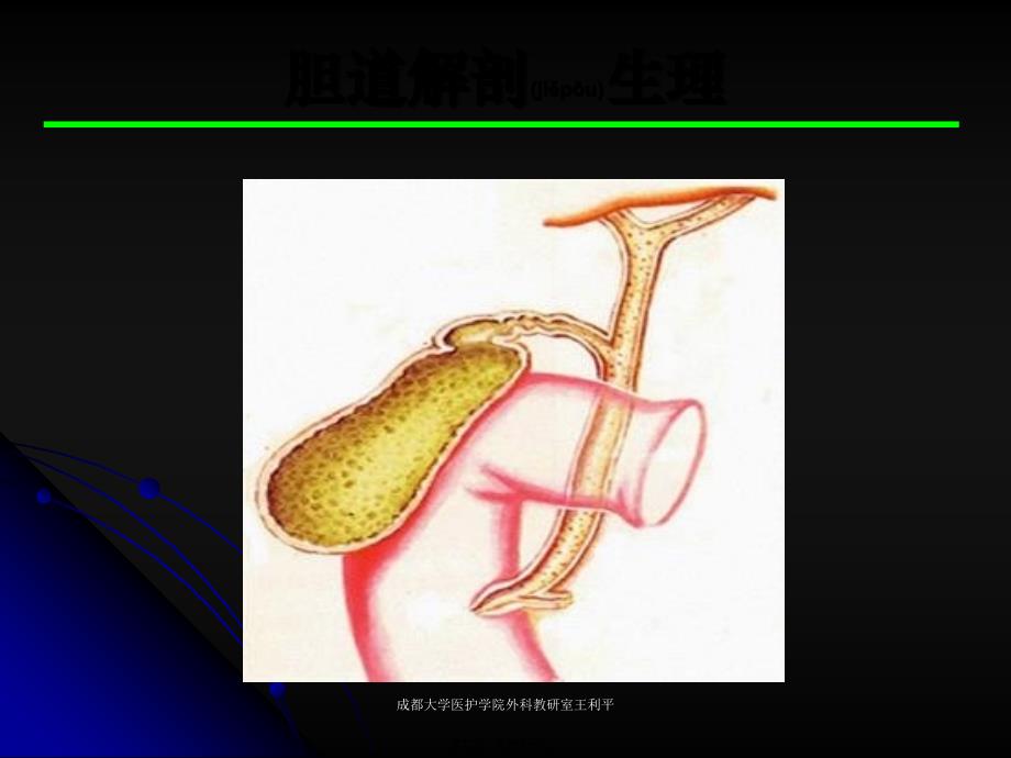 成都大学医护学院外科教研室王利平课件_第2页