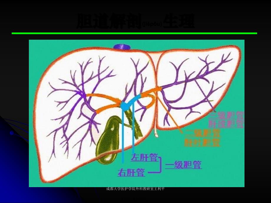 成都大学医护学院外科教研室王利平课件_第4页