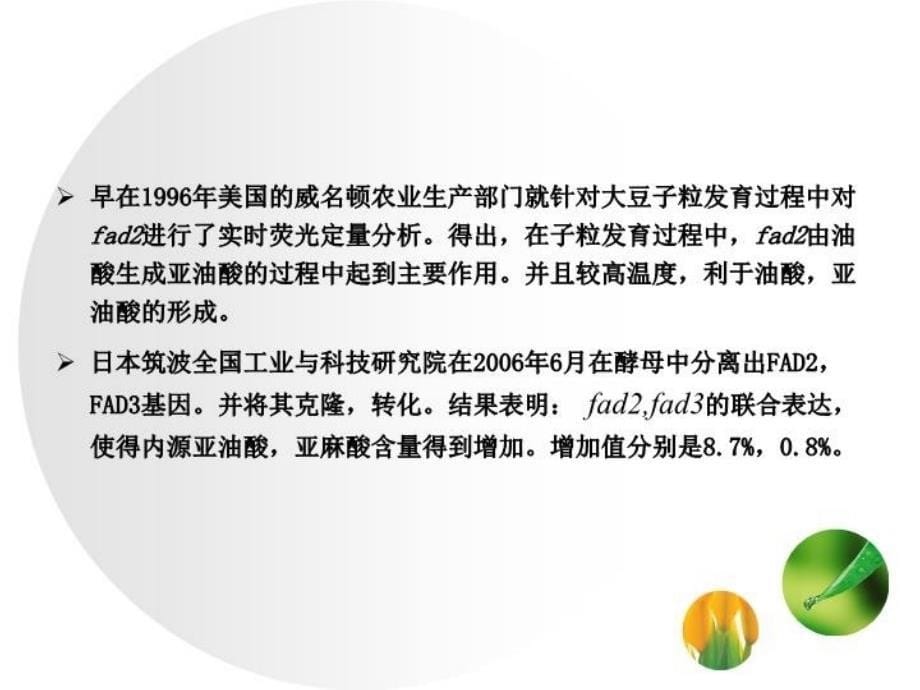 最新大豆内源fadfad调控与籽粒不饱和脂肪酸的形成The教学课件_第5页