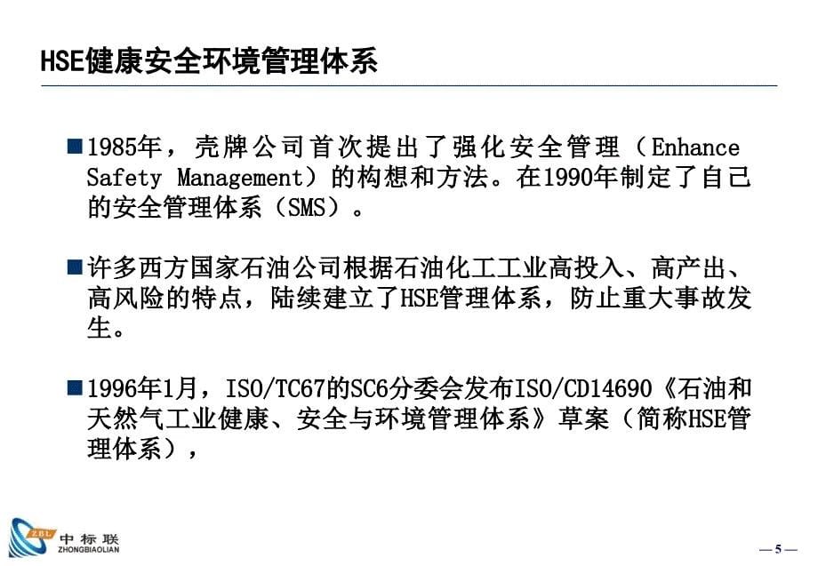 HSE管理体系理解与实施_第5页