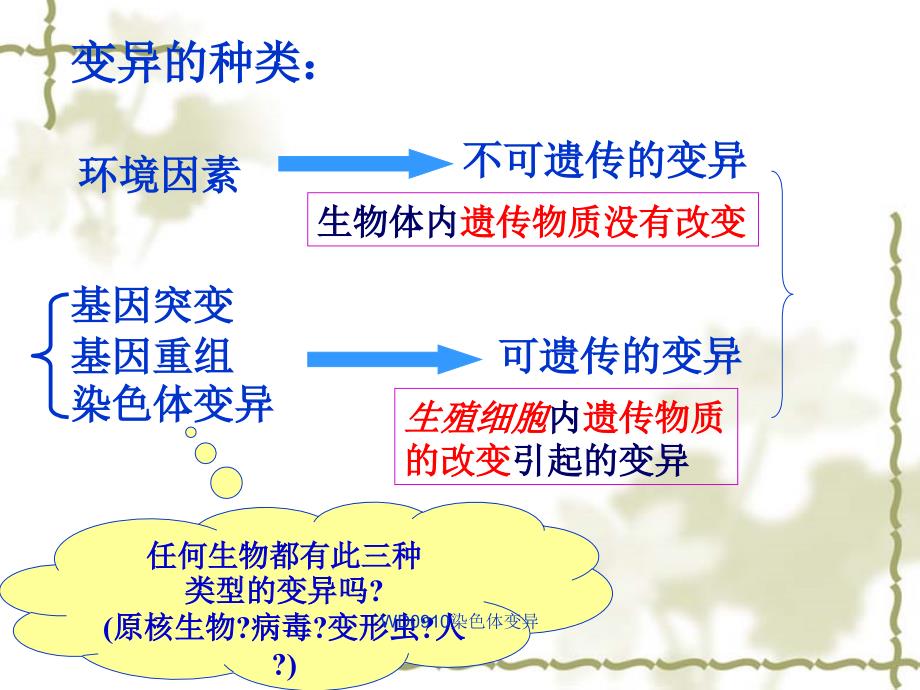 WD0910染色体变异课件_第2页