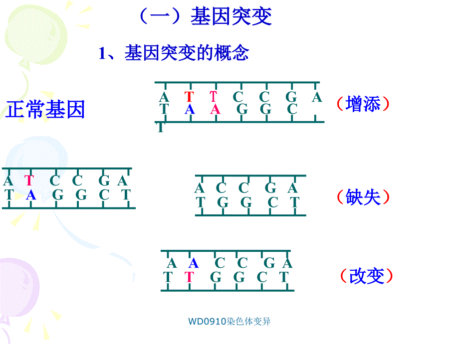 WD0910染色体变异课件_第3页