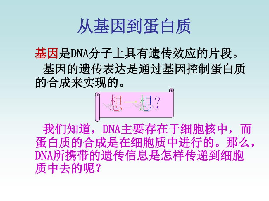 必修二基因控制蛋白质的合成苏教版_第2页