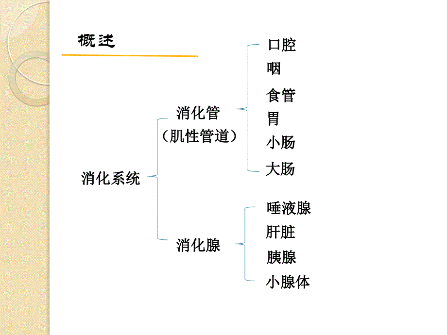 老年人消化系统疾病患者的护理_第2页