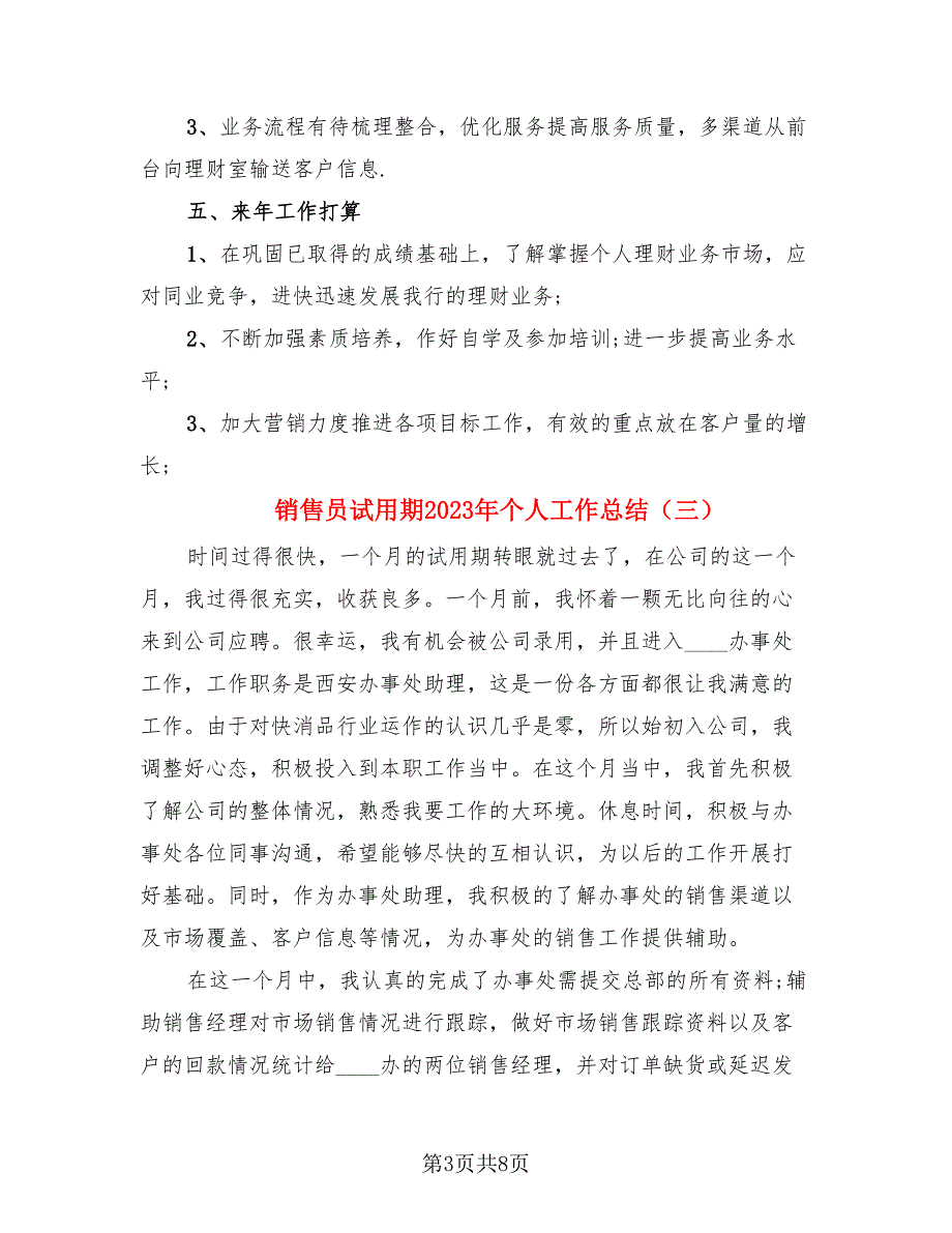 销售员试用期2023年个人工作总结.doc_第3页