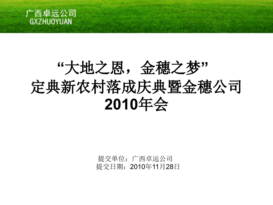 定典新农村落成庆典暨金穗公司年会方案_第1页