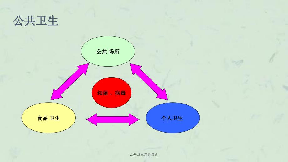 公共卫生知识培训课件_第2页