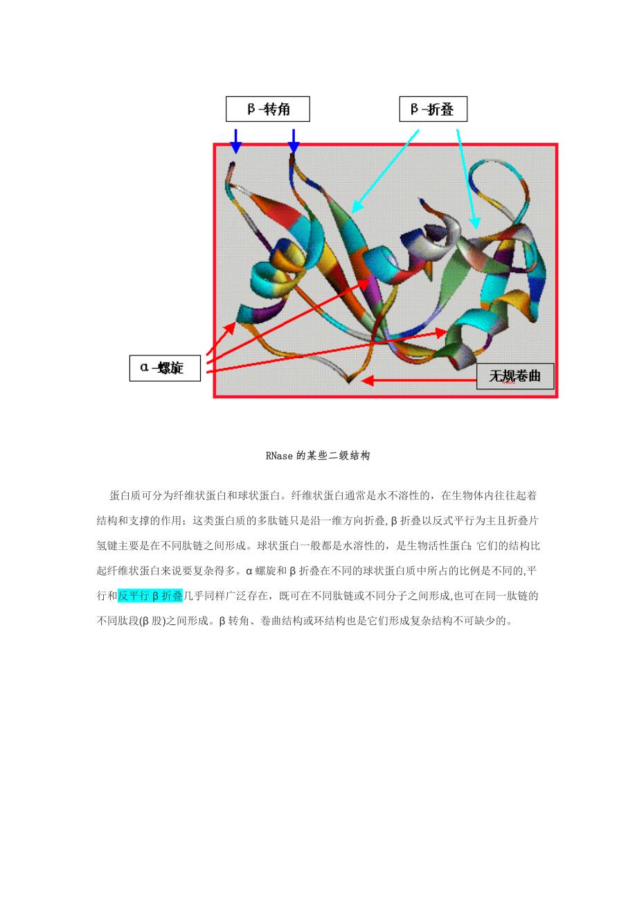 蛋白质的二级结构 示意图.docx_第4页