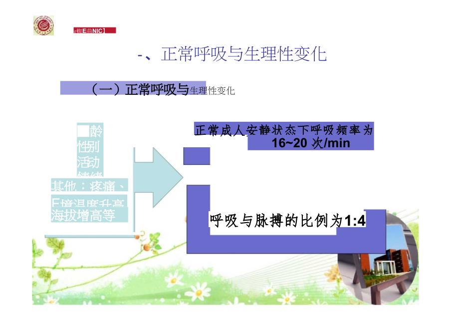 呼吸的评估与护理.ppt_第3页