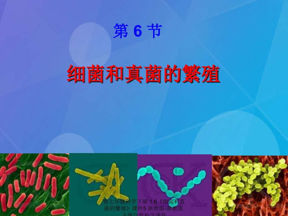 最新七年级科学下册1.6细菌和真菌的繁殖课件5浙教版浙教级下册自然科学课件_第1页