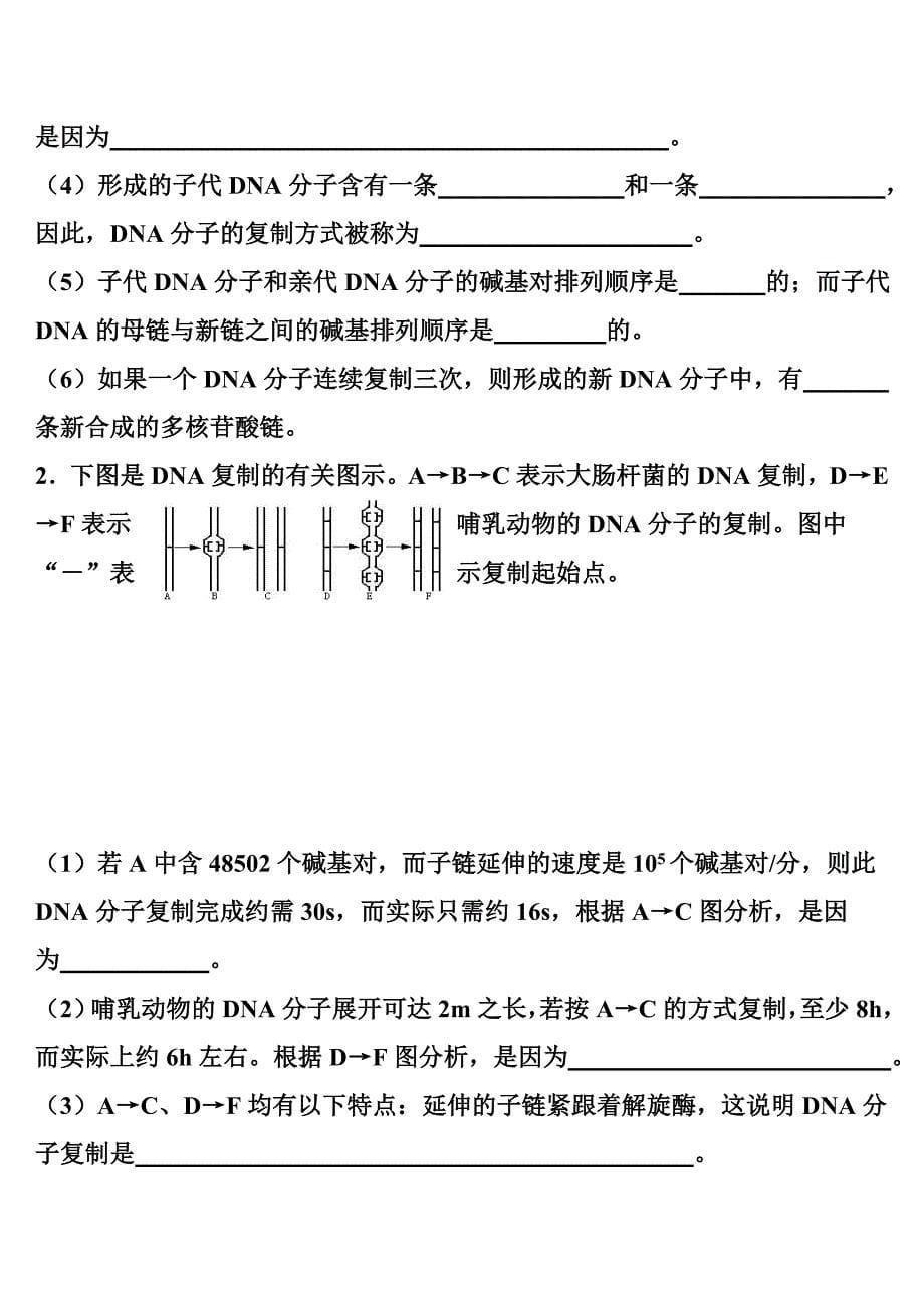 DNA的结构和复制题12413.doc_第5页