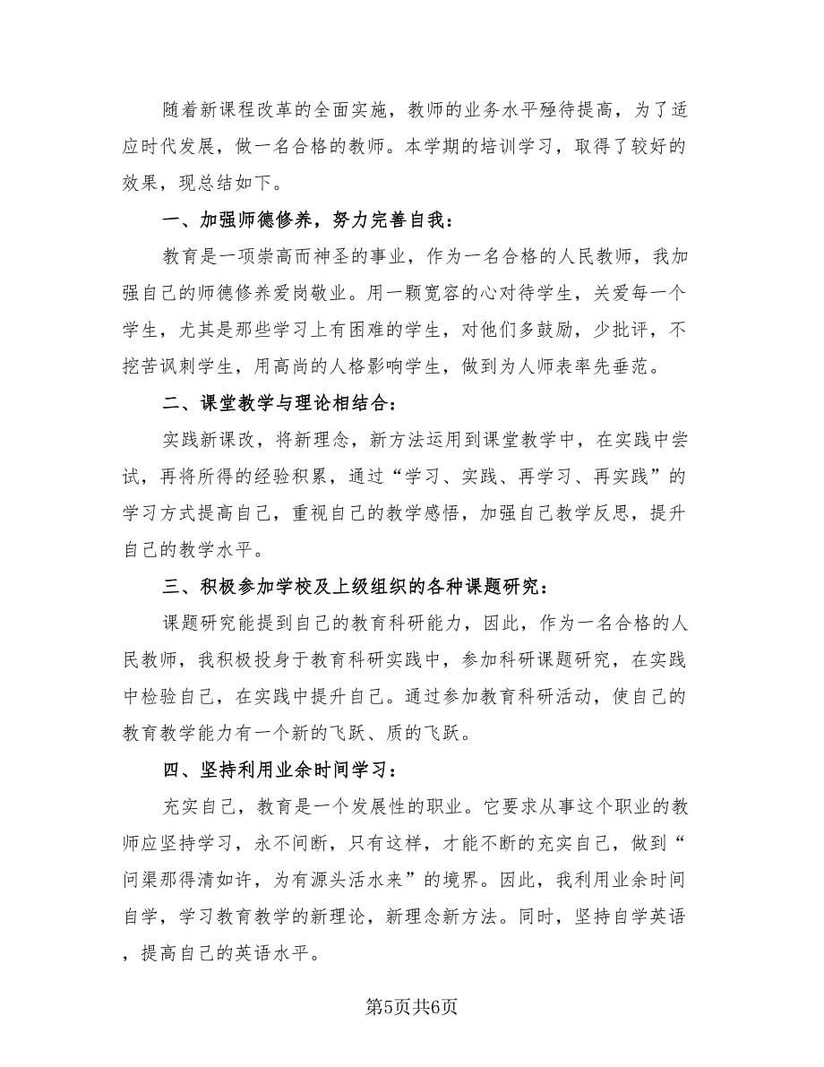 教师培训学习个人总结（二篇）.doc_第5页