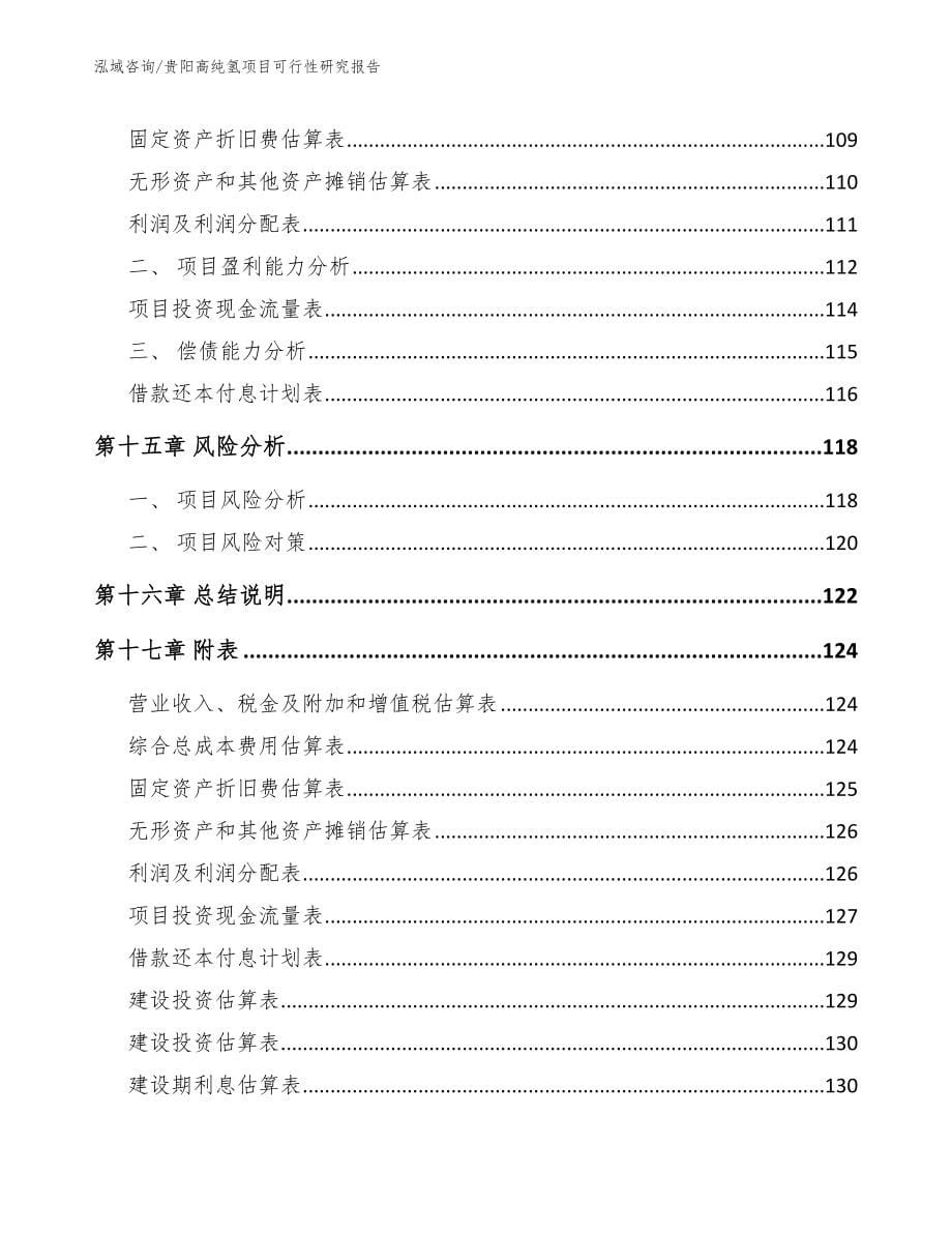 贵阳高纯氢项目可行性研究报告_模板范文_第5页