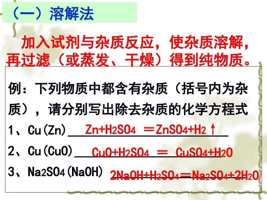 中考化学专题复习物质的除杂课件_第5页