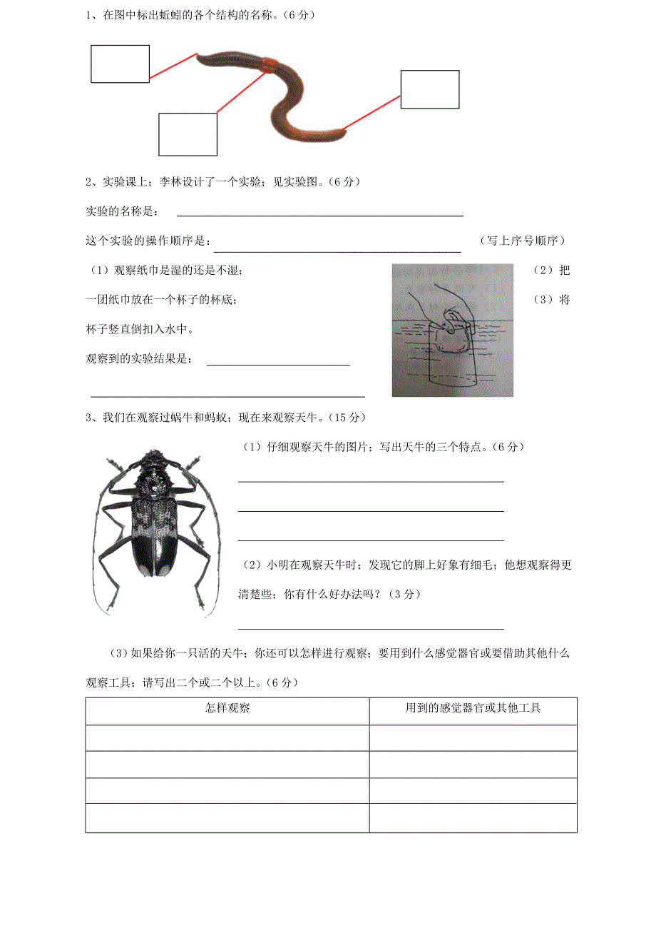 教科版小学科学三年级上册期末考试卷.doc_第3页