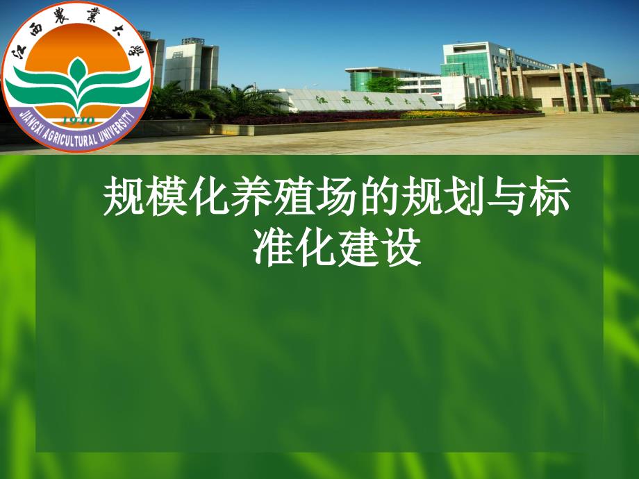 肉牛标准化养殖场的规划与建设_第1页
