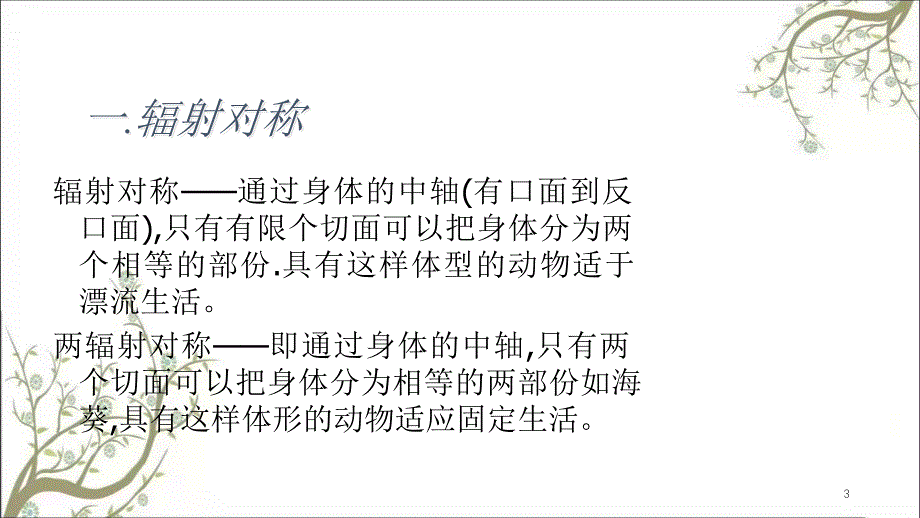 腔肠动物资源课件_第3页